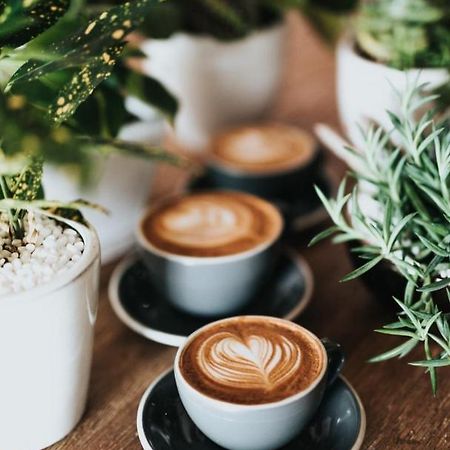 Ganze Ferienwohnung 5 Km Von Erfurt, Mit Kaffeevollautomat, Tv, Wlan, Boxspringbett, Schlafsofa Und Einkaufsmoeglichkeiten, Sehr Gute Anbindung Zur A71 Und A4, Kostenloser Oeff Parkplatz Fuer Pkw Und Transporter Elxleben Exteriör bild